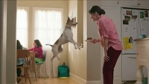 purina beneful commercial